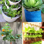 35 Creative Container Vegetable Garden Ideas - A Piece Of Rainb