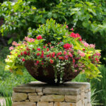 SUCCESS IN THE GARDEN: GARDEN CONTAINER IDEAS — Todd Haiman .