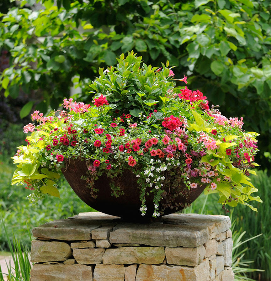 SUCCESS IN THE GARDEN: GARDEN CONTAINER IDEAS — Todd Haiman .