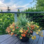 How Do You Create a Container Garden? Start Here. - The New York Tim