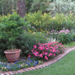 Cottage Gardens - Florida-Friendly Landscaping™ Program .