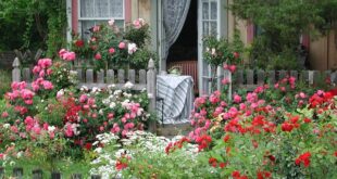 3 tips for designing a low maintenance cottage garden - Anthony .