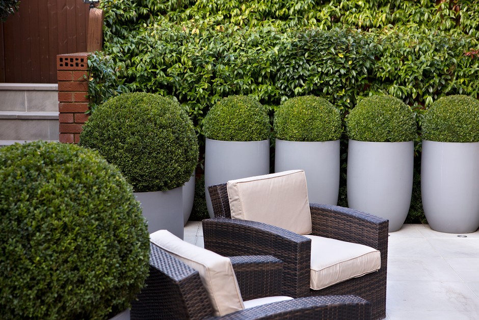 Tips for Designing a Courtyard Garden | BBC Gardeners World Magazi