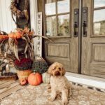 11 Best Cozy Front Porch Ideas for Fall Outdoor Seating Are