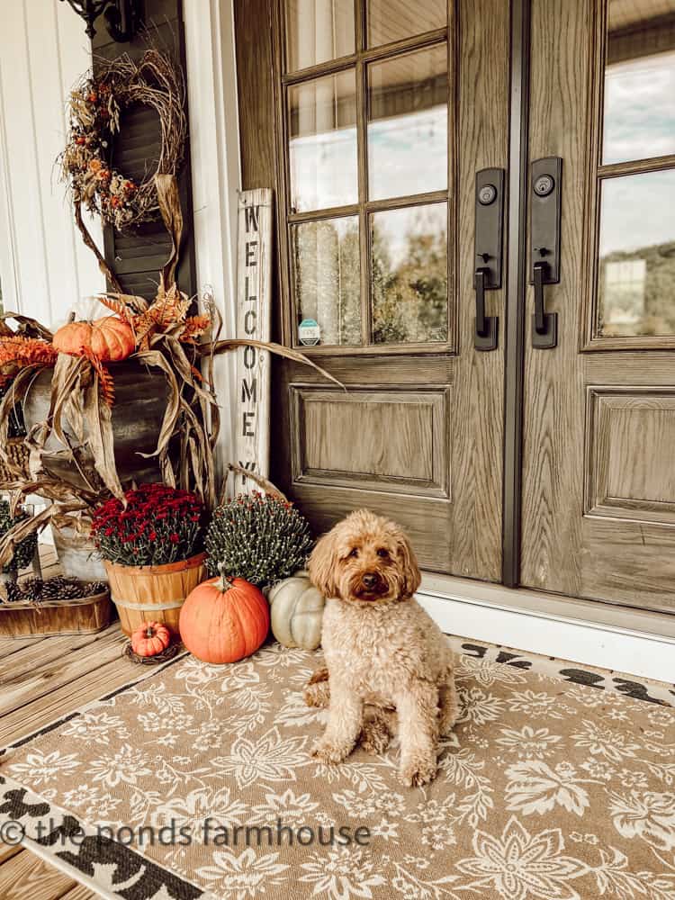 11 Best Cozy Front Porch Ideas for Fall Outdoor Seating Are