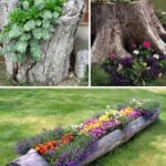 24+ Creative Garden Container Ideas | Garden, Budget garden .