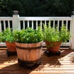 Why Adding Planters to a Deck Is a Good Id