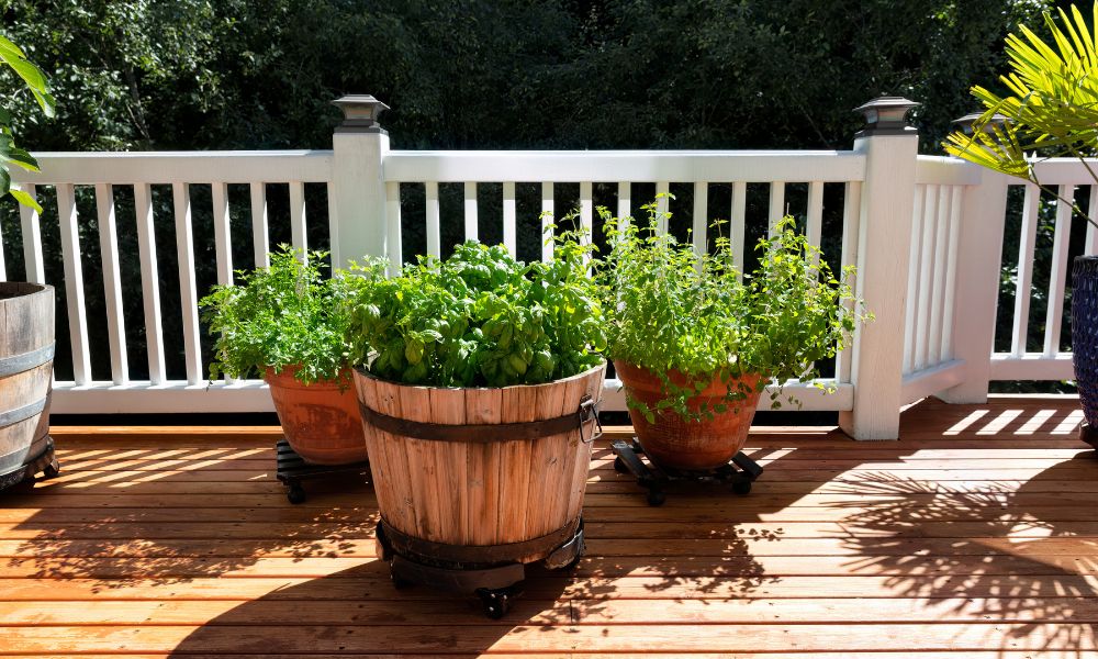 Why Adding Planters to a Deck Is a Good Id