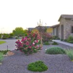 7 Creative Arizona Front Yard Landscape Ide