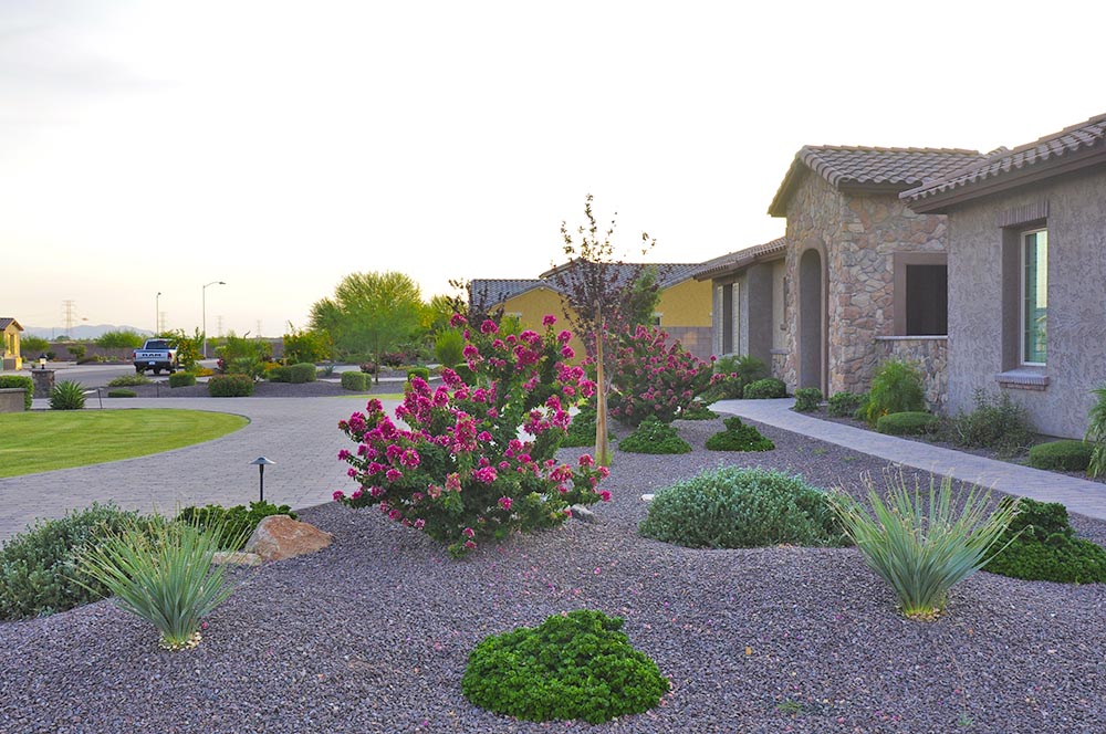 7 Creative Arizona Front Yard Landscape Ide