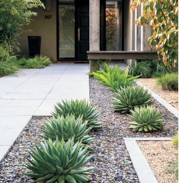 Top 70 Best Desert Landscaping Ideas - Drought Tolerant Plan