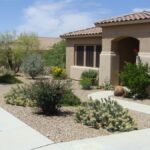 Colorful Desert Courtyard - Landscaping Netwo