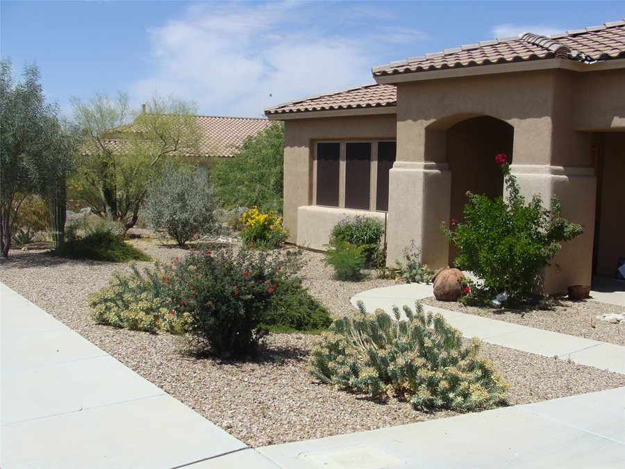 Colorful Desert Courtyard - Landscaping Netwo