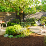 Backyard Ideas for Do