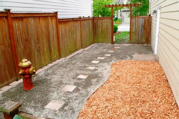 Landscaping for Dogs | HouseLogic Dog-Friendly Landscapi