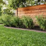 15 Affordable and Easy-to-Install Garden Edging Ide