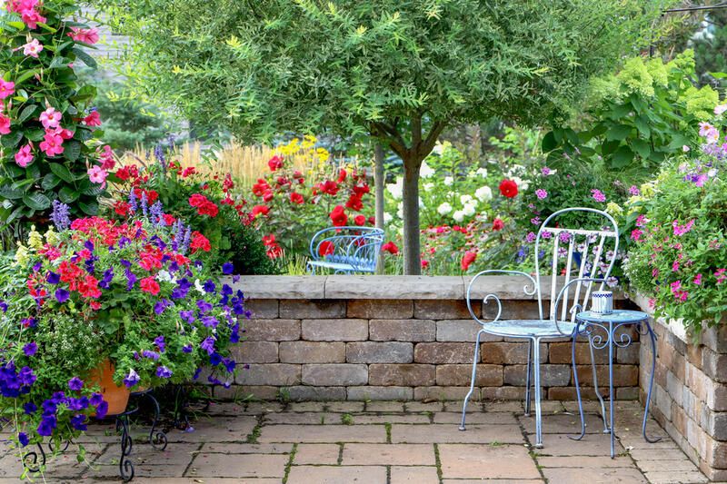 2024's Easy Garden Ideas to Transform Your Yard Landscaping | ShrubH