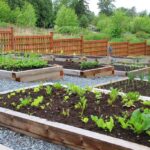 Edible Landscaping: What Are the Benefits - Boots On the Ro