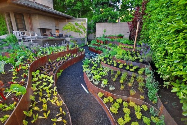 Importance of Edible Landscaping - Garden Landscaping Ideas - Quo