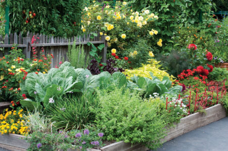 Edible Landscaping Front Yard and Back – Mother Earth Ne