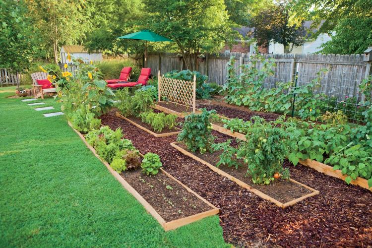 Edible Landscaping: How to Eat Your Ya