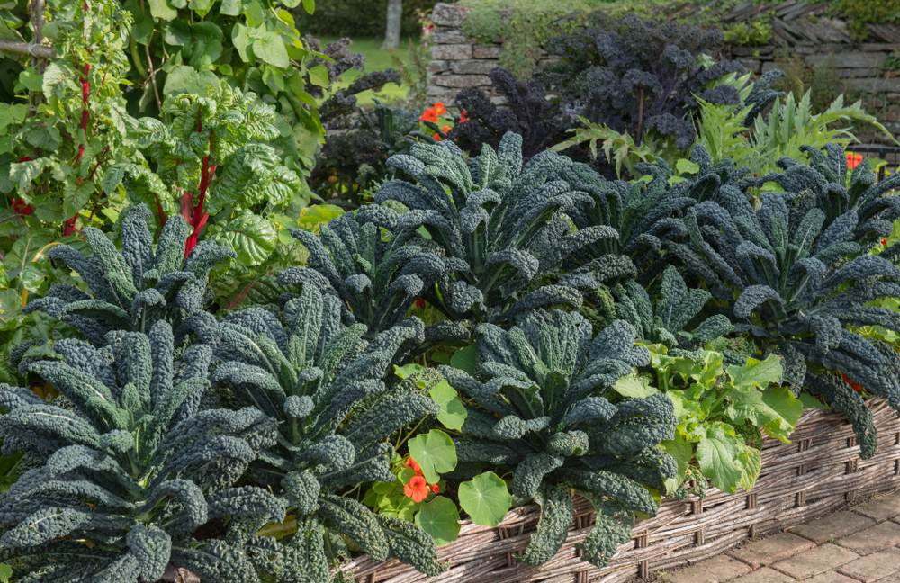 Edible Landscapes in Durand Michigan Provide Community with 300 .