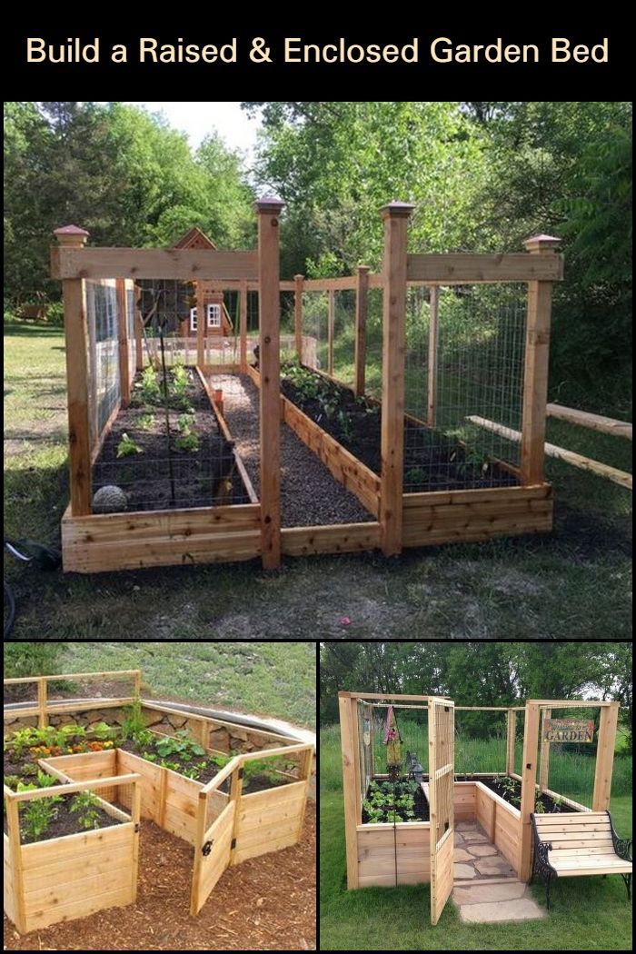 A DIY Raised and Enclosed Garden Bed in 11 Effortless Steps .