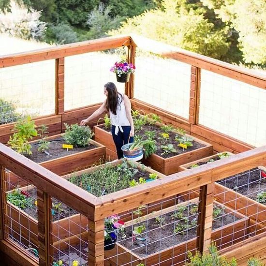 17 Enclosed gardens ideas | veggie garden, vegetable garden .