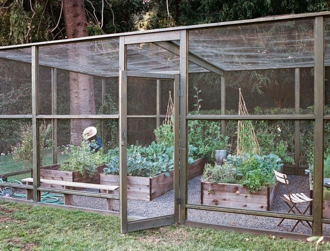 Making a big garden enclosure! : r/vegetablegardeni