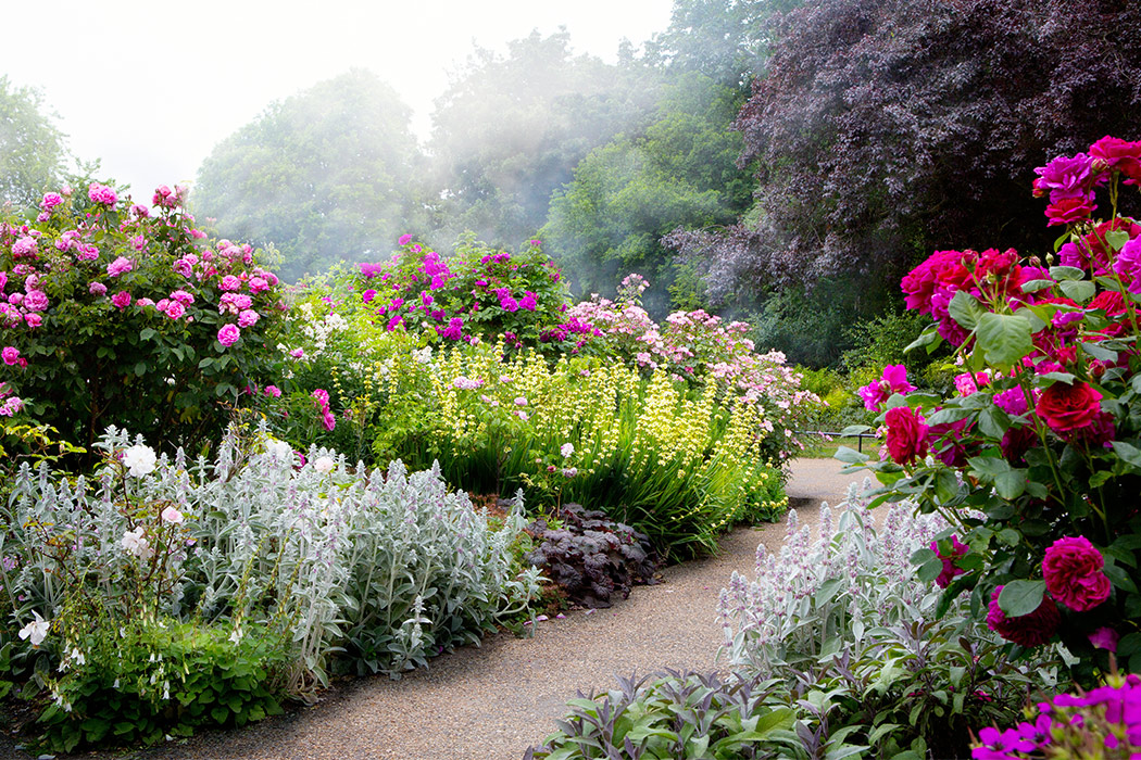 The English Garden by Jane Goodger - Victor