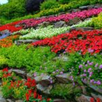 How to Start a Flower Garden: 3 Steps for Beginners | Garden Desi