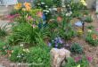 Flower Garden Ideas For Small Spaces - Gingham Garde