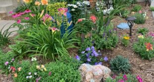 Flower Garden Ideas For Small Spaces - Gingham Garde