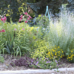 Creative Vegetable Gardener:Perennial Flower Garden Design - The .