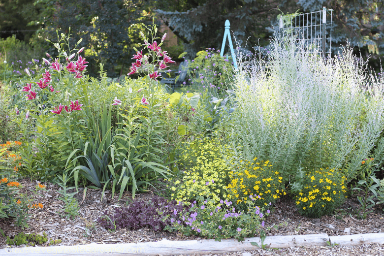 Creative Vegetable Gardener:Perennial Flower Garden Design - The .