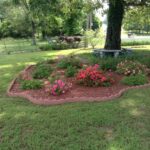 Shade garden under oak tree. | Landscaping around trees, Garden .