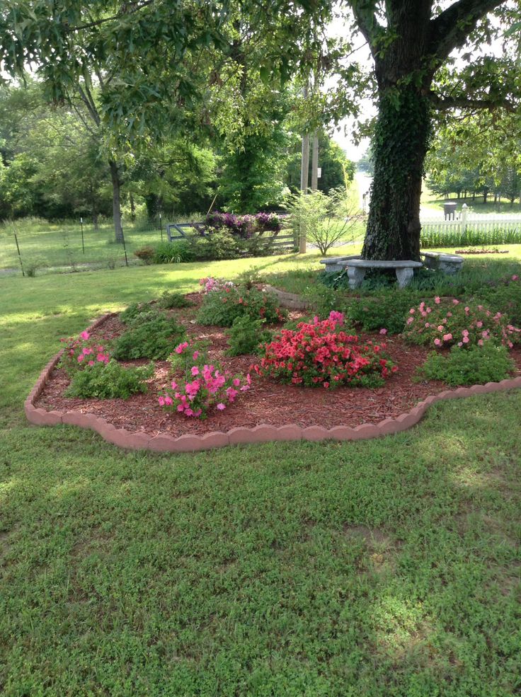 Shade garden under oak tree. | Landscaping around trees, Garden .