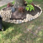 Creative Landscaping Ideas Around Tree Roots - The Honeycomb Ho