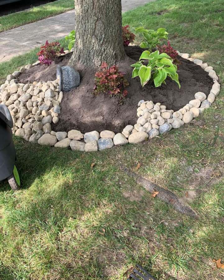 Creative Landscaping Ideas Around Tree Roots - The Honeycomb Ho