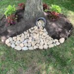 Creative Landscaping Ideas Around Tree Roots - The Honeycomb Ho