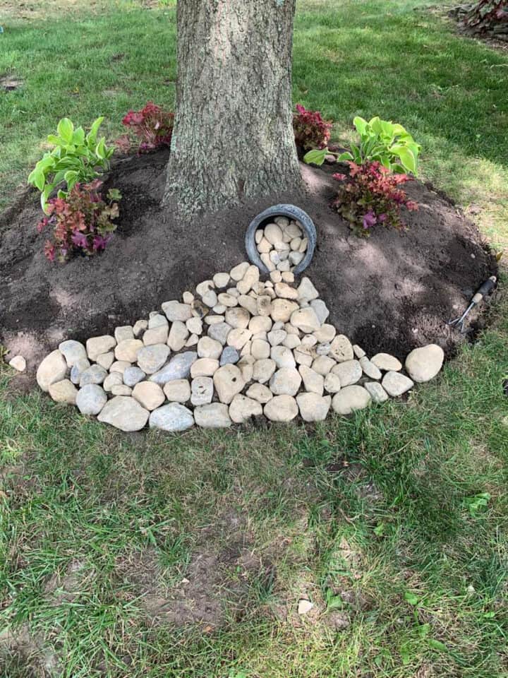 Creative Landscaping Ideas Around Tree Roots - The Honeycomb Ho