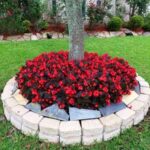 22 Beautiful Flower Beds Around Trees | Landscaping around trees .