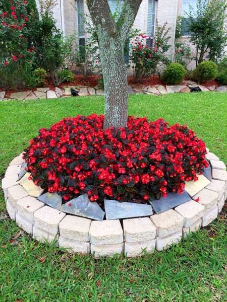 22 Beautiful Flower Beds Around Trees | Landscaping around trees .