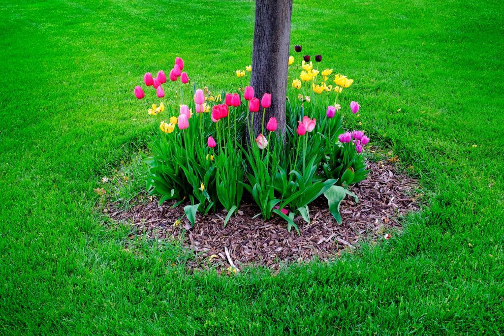 32 Flower Bed Ideas to Spruce up Your Garden | Tilly Desi