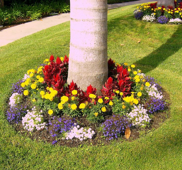 Cool idea | Small front yard landscaping, Landscaping around trees .