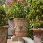 Decorating With French Anduze Planters | Container gardening shade .