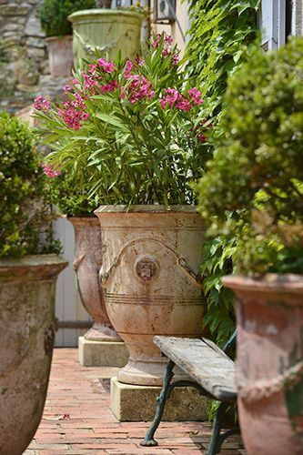 Decorating With French Anduze Planters | Container gardening shade .