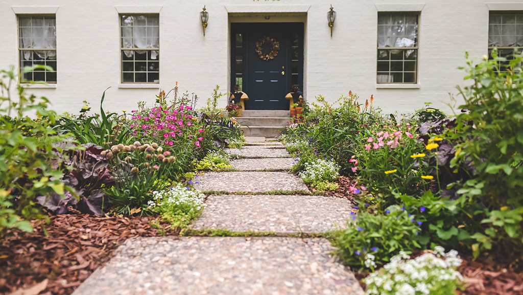 Drought-Tolerant Cottage Garden Desi