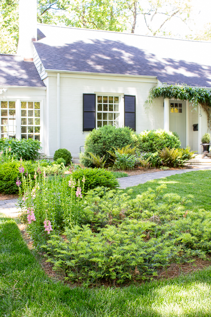 Our Front Yard - Cottage and Vi