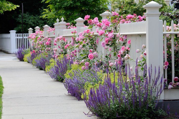 5 TIPS FOR DESIGNING THE PERFECT FRONT YARD FEN